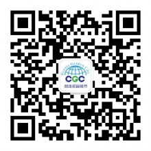 廠家直銷 皺褶式星形濾袋 褶皺濾袋 星形袋籠 波形濾袋 品質(zhì)批發(fā)